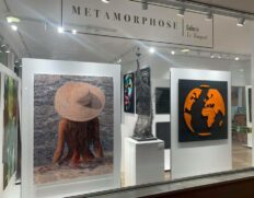 galerie metamorphose